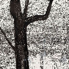 Lin Guocheng, Black Tree,  Pen and Ink on Paper, 170cm x 110cm, 2011